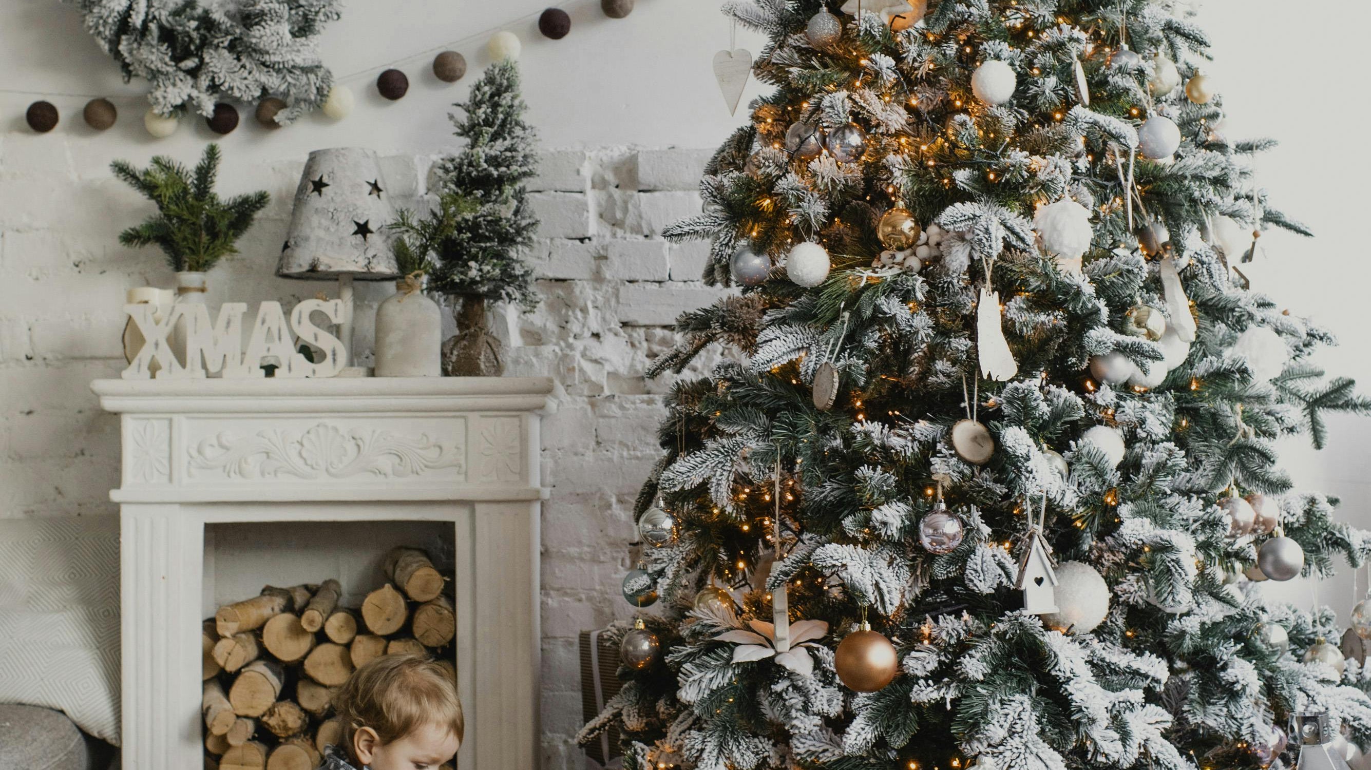 Come Scegliere l'Albero di Natale Perfetto