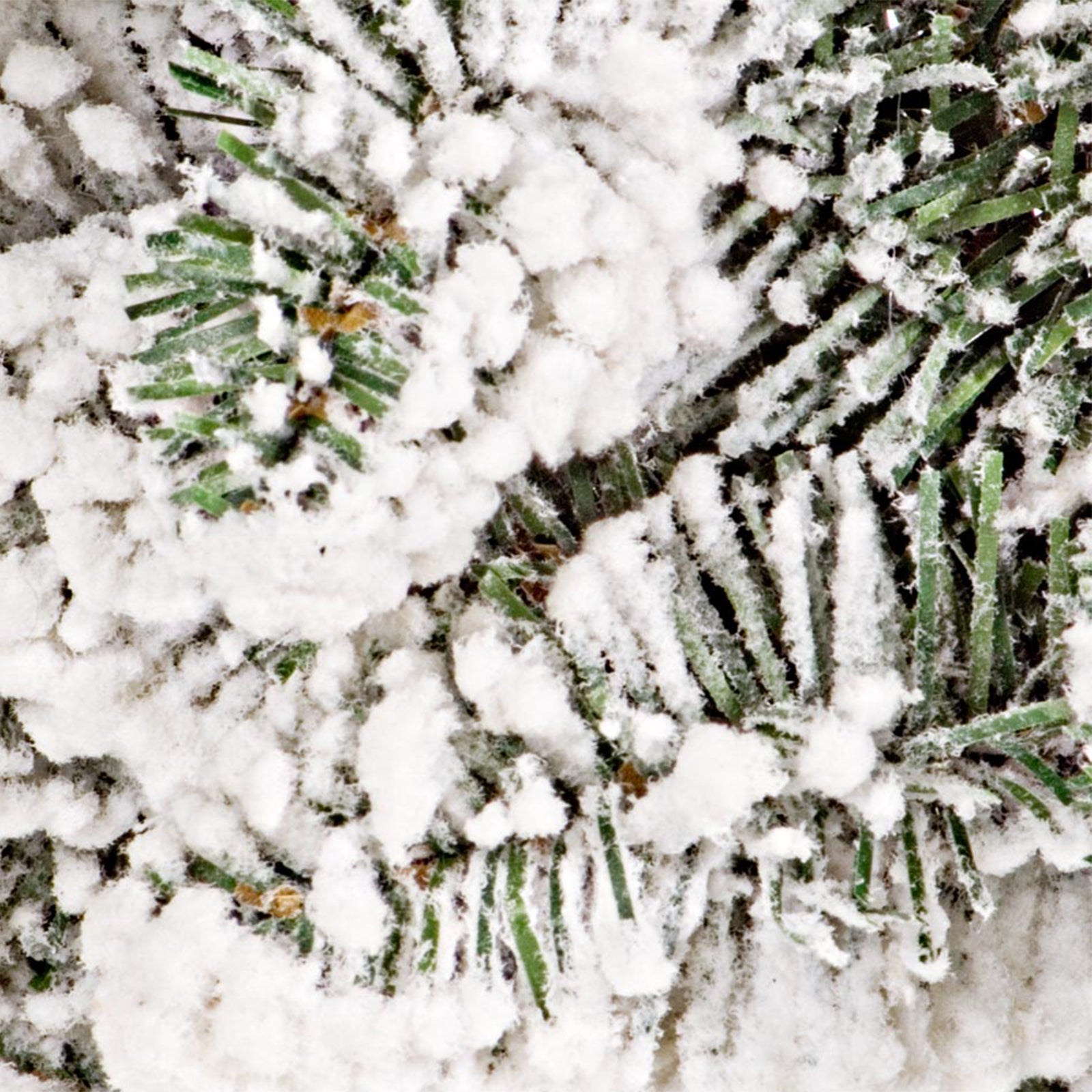 1603985483_0898304-PM1