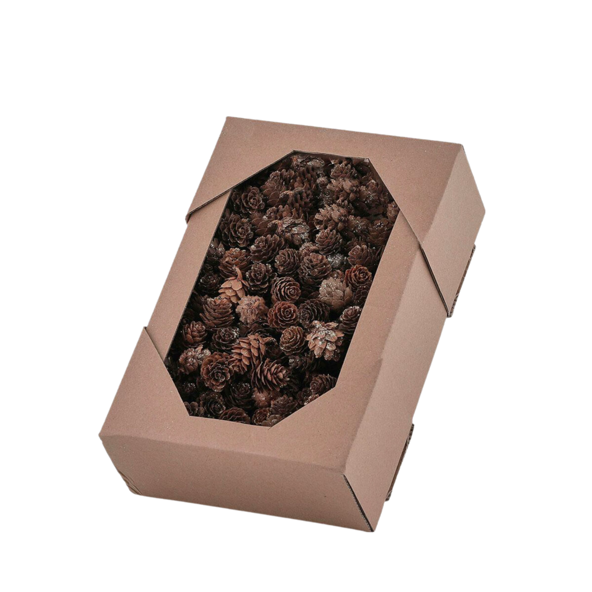 Mini pigne decorative di artigianato natalizio, pigna in legno per vaso di riempimento per albero di Natale acquista in modo economico - spedizione gratuita, recensioni reali con foto Mini pigne decorative di artigianato natalizio, pigna in legno per vaso di riempimento per albero di Natale acquista in modo economico - spedizione gratuita, recensioni reali con foto