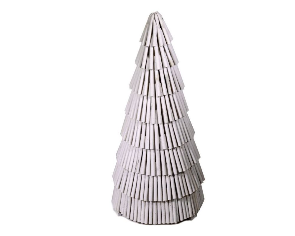 1620220680_60000_albero