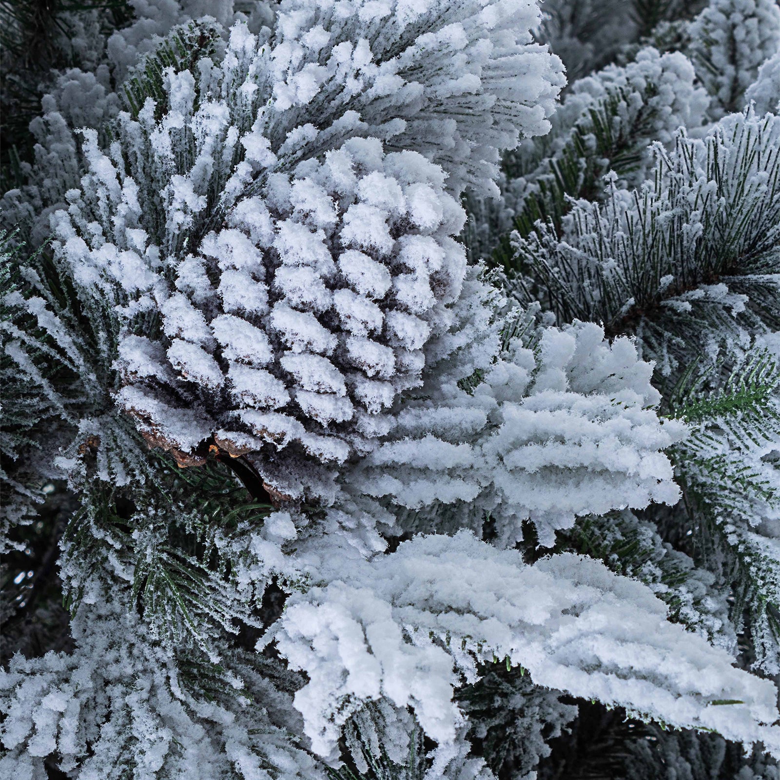 Albero di natale innevato con Pigne Arves in PP Effetto Aghi di Pino –